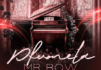 Mr Bow – Pfumela