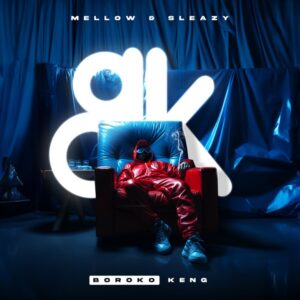 Mellow & Sleazy - Netflix (feat. Tumelo_za & Tyrone Dee)
