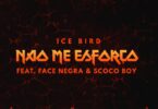 Ice Bird - Não me Esforço (feat. Face Negra & Scoco Boy)