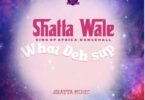 Shatta Wale - What Deh Sup