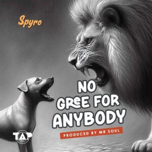 Spyro - No Gree for Anybody (NGFA)