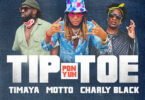 Motto, Charly Black & Timaya - Tip Pon Yuh Toe