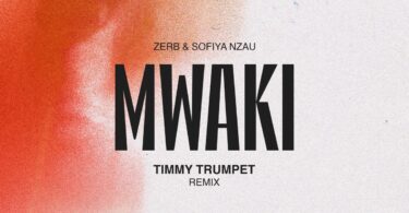 Zerb - Mwaki Tyler ICU Remix (feat. Tyler ICU & Sofiya Nzau)