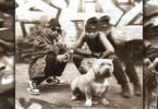 Al Xapo, LeeMcKrazy, Mellow & Sleazy - Nginenja (feat. Sneenah, Boontle RSA, LK Deepstix & TPI)