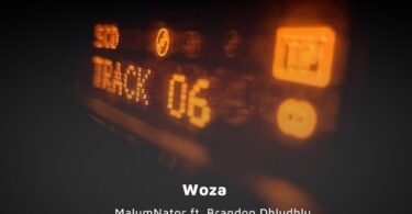 MalumNator - Woza (feat. Brandon Dhludhlu)