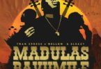 Tman Xpress - Madulas Bavumile (feat. Mellow & Sleazy)