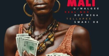 DJ Walgee – MALI (feat. Real Nox, Tellapee, Smaki 08 & Dot Mega)