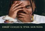 Drip Gogo & TNR Sounds - uMkhovu