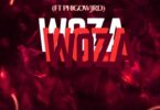 Mcdeez Fboy & DrummeRTee924 - WOZA WOZA (feat. Phigow Jrd)