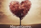 MalumNator - uThando (feat. Scotts Maphuma, Ntokzin & Dynamic Duo)