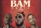 TitoM, Yuppe & Burna Boy - Tshwala Bam (feat. S.N.E) (Remix)