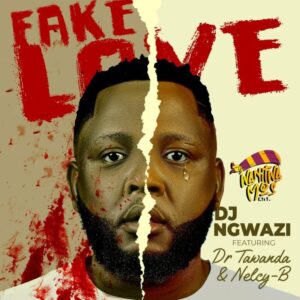 DJ Ngwazi - Fake Love (feat. Dr Tawanda & Nelcy-B)
