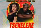 Dr Malinga - Tsekeleke (feat. Tsekeleke 012 & Black Cat Girl)