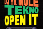 Dj Yk Mule & Tekno - Open It