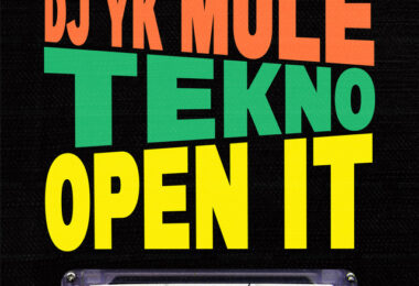 Dj Yk Mule & Tekno - Open It