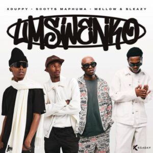 Xduppy, Scotts Maphuma, Mellow & Sleazy - Kwaze Kwa Mnandi (feat. DJ Maphorisa, CowBoii & Al Xapo)