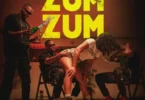 Rods Wires & Josslyn – Zumzum