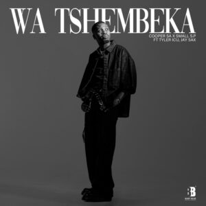 Cooper SA & Small S.P - Wa Tshembeka (feat. Tyler ICU & Jay Sax)