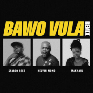 Sfarzo Rtee, Kelvin Momo & Makhanj - Bawo Vula (Remix)